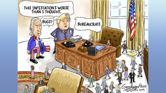 Political cartoons of the day - Fox News