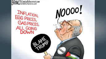 Political cartoons of the day - Fox News