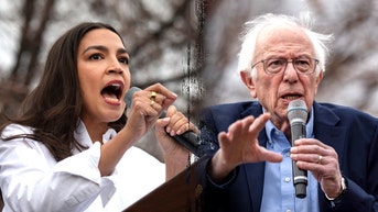 Former Clinton advisor gives 'best, free advice' to Dems as party faces dismal polling - Fox News