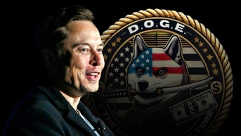 How the DOGE payout plan to pay taxpayers back works — CEO explains - Fox News