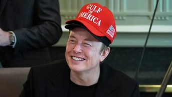 Trump's offer to Elon Musk as chief cost-cutter takes step back from DOGE - Fox News