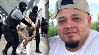 Dem strategist warns party against making a 'martyr' out of Abrego Garcia - Fox News