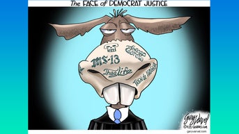 Political cartoons of the day - Fox News