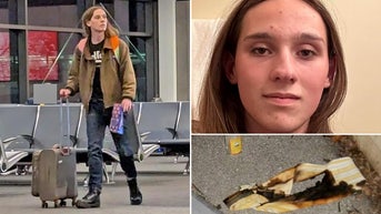 Tesla arson suspect released after lawyer argues jail would disrupt sex-change treatments - Fox News