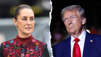 Mexican president spurns Trump's offer to send troops after violent drug cartels - Fox News