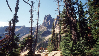 Tragic climbing accident leaves three people dead at popular national park - Fox News