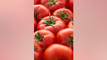 Tomatoes RECALLED for bacteria - Fox News