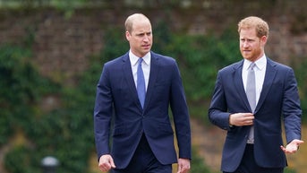 Expert spills on family drama: Why Prince William will not forgive Harry - Fox News