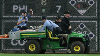 Pirates fan who flipped over wall identified as former college football player - Fox News