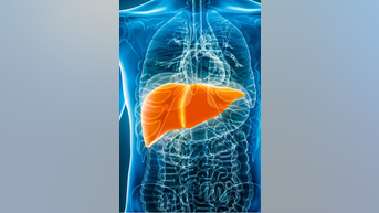 Ozempic REVERSES liver disease - Fox News