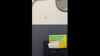 Flight passenger vows 'never' to fly one airline again after seeing cockroaches in cabin - Fox News