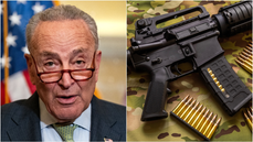 Nasty Chuck Schumer tells enraging lie about guns, proves he's clueless - Fox News