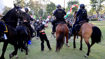 rioters, horses in grass - Fox News