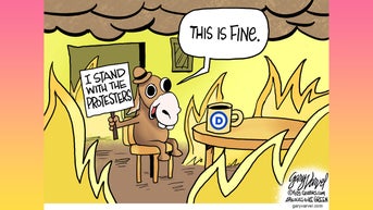 Political cartoons of the day - Fox News