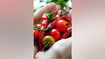 Discover the RECIPE for LONGEVITY - Fox News