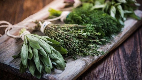 Ingredient in common kitchen herbs could target Alzheimer's, but don't change any recipes just yet