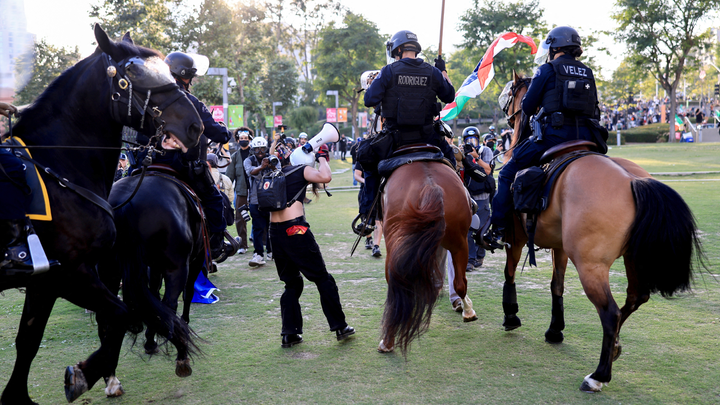 rioters, horses in grass - Fox News