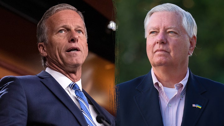 Senate Republicans introduce Trump-backed bill as internal divisions threaten passage - Fox News