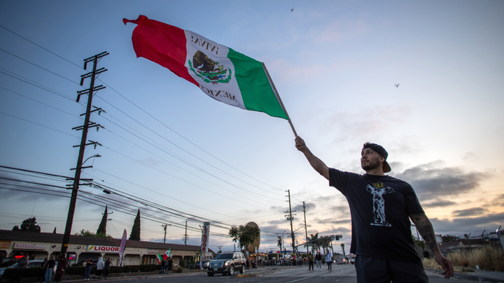 LA protester waving flag dusk - Fox News