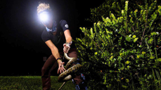 Florida seeking lunatics willing to pay $25 to wrangle giant pythons in the Everglades - Fox News