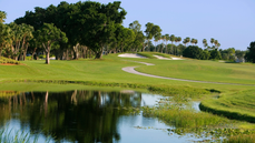 Inebriated golfer gets thrown into a pond during wild fight over pace of play - Fox News