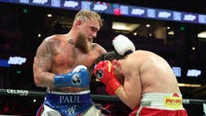 Jake Paul encourages 'ring boys' to send job applications to Kamala Harris following all-female boxing card - Fox News