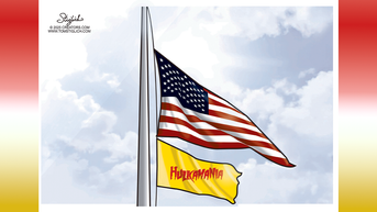 Political cartoons of the day - Fox News