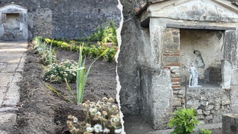 Ancient Roman 'perfume garden' blooms again in Pompeii, 1,900 years later - Fox News