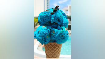 Ice cream to DITCH artificial colors - Fox News