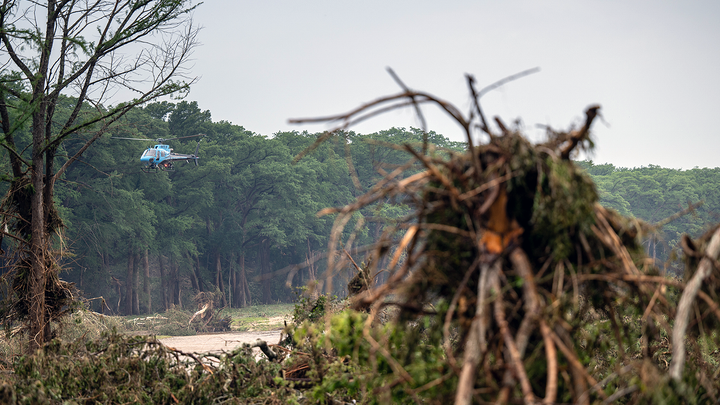 Helicopter in distance - Fox News