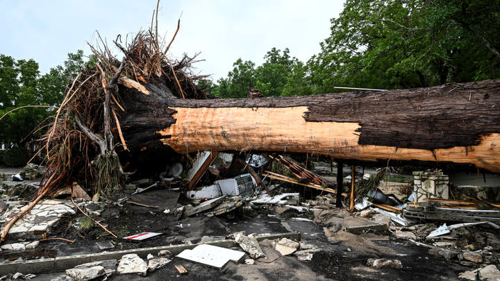 Downed tree - Fox News