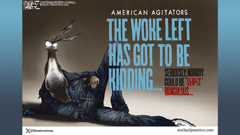 Political cartoons of the day - Fox News