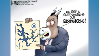 Political cartoons of the day - Fox News