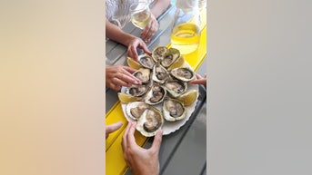 Oysters spread flesh-eating BACTERIA - Fox News