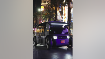 Free robotaxis running on LAS VEGAS strip - Fox News