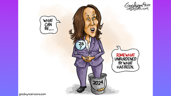 Political cartoons of the day - Fox News