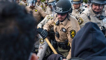 Four arrested after anti-ICE protest takes violent turn in Illinois - Fox News