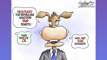 Political cartoons of the day - Fox News