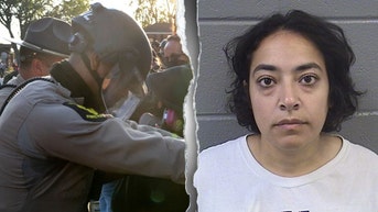Top college reacts after professor arrested for violent crimes at anti-ICE rally - Fox News