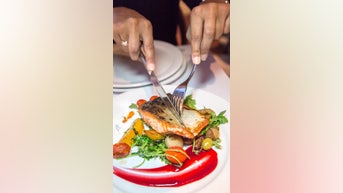 Celebrity chef calls for DIET CHANGE - Fox News