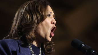 Kamala Harris melts down in profanity-laced rant about President Trump - Fox News