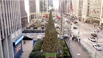 'All-American Christmas Tree' brings holiday cheer to FOX Square - Fox News