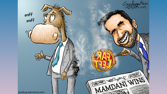 Political cartoons of the day - Fox News