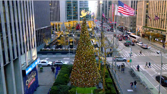 'All-American Christmas Tree' brings holiday cheer to FOX Square - Fox News