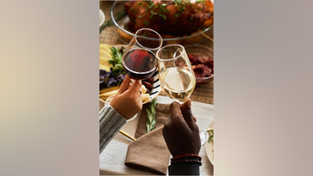 Average COST of Thanksgiving dinner - Fox News