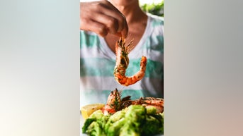 What's driving the FOOD ALLERGY epidemic - Fox News