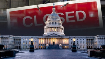 Schumer, Democrats pitch shutdown plan tied to 1-year Obamacare subsidy extension - Fox News