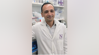 New pancreatic cancer treatment DISCOVERED - Fox News