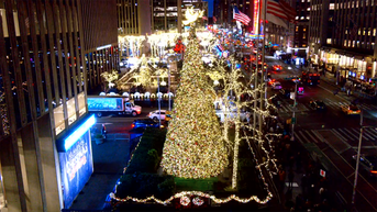 'All-American Christmas Tree' brings holiday cheer to FOX Square - Fox News