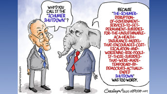 Political cartoons of the day - Fox News